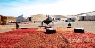 The marrakech marathon is considered among the world most prestigious marathons. Getting To Mhamid Discover Sahara