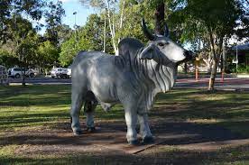 Safe and secure online booking and guaranteed lowest rates. Mareeba Qld