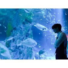 Publication Instagram Par Zkdlin 15 Nov 2018 A 4 38 Utc Chanyeol Suho Instagram