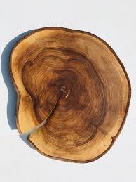 12 Inch 8 Inch Large Rowan Wood Slice Wooden Slices Rustic Wood Slices For Diy Rowan Wood Large Wood Slices 10 Inch Slices Wood Slices Wood Circles Wooden Slices