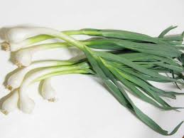 葉ニンニクは冬の栄養源 Okinawa Core Herb