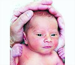 Niagara Falls Review