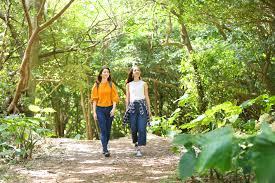 Established in 2016, it is located in and around the forested region of yanbaru at the northern end of okinawa island. Okinawa Yambaru National Park Daisekirinzan Ticket In Okinawa Live Japan Japanese Travel Sightseeing And Experience Guide