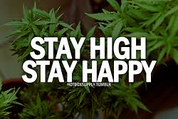 weed marijuana kush 420 loud lifted Amsterdam weed quotes hotbox ... via Relatably.com