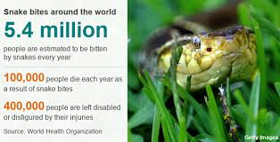 A snakebite is an injury caused by the bite of a snake, especially a venomous snake. Snake Bites Are Now A Global Health Priority Says Who Bbc News