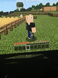 Tried my best to make Edward Elric in Minecraft : rFullmetalAlchemist