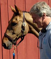 Better homes and gardens vet dr harry cooper splits from. 5 Million Gift To Penn Vet To Establish The Dr Harry Werner Professorship In Equine Medicine University Of Pennsylvania Almanac