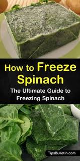 5 Quick Ways To Freeze Spinach Breakfast Drinks Healthy Freezing Vegetables Frozen Spinach