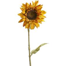 Pier One Faux Sunflower Stem Yellow 84 Rub Liked On Polyvore Featuring Home Home Decor Floral Decor Flowers Plants Fil Faux Sunflower Plants Flowers