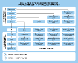 Родственные связи внутри и между поколений