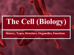 It is a book which both experienced researchers and those new to the field will find invaluable. The Cell Biology History Types Structure Organelles Functions