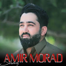 AMIR MORAD