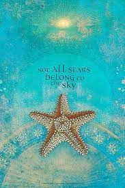 Below you will find our collection of inspirational, wise, and humorous old starfish quotes, starfish sayings, and starfish proverbs, collected over the years from a variety. 270 Starfish Quotes Ideas Starfish Starfish Quotes Sea Shells