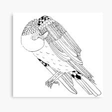 Ausmalvorlage wellensittich / malvorlagen papageien bilder kinder malvorlagen ideas. Kolibri Leinwanddruck Von Lindaursin Redbubble