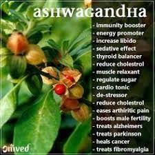 Image Result For Ginseng In Malayalam Cholesterol Lowering Foods Health What Causes High Cholesterol