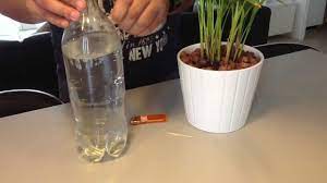Check spelling or type a new query. Astuce Pour Arroser Les Plantes Creer Un Systeme De Goutte A Goutte Diy