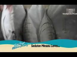 Kehcik kahar sharifah 2 yıl önce. Kail Pagi Makan Petang Episod 4 Youtube