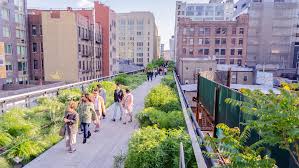Recent new york transit history. High Line Nyc Full Guide To The Elevated Park Including Events