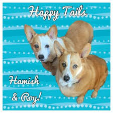 Pet adoption has dogs, puppies, cats, and kittens for adoption. Happy Tails Our Best Friends Rescue