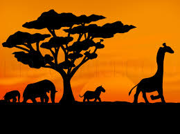 How To Draw A Safari Step By Step Drawing Guide By Dawn Dragoart Com The best safari destinations in africa for your first visit to the continent. how to draw a safari step by step