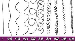 One of the most widely used hair classification systems or hair typing chart was created by oprah winfrey's hair stylist, andre walker known as the andre walker hair classification system. What Are 4a 4b And 4c Hair Types Answers Picture Examples Inside That Sister