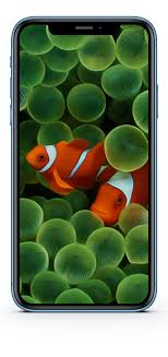 4k ultra hd 8k ultra hd. Iphone Xr Wallpaper Hd Panorama
