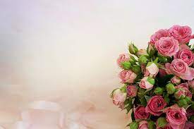 Products, under main collection, plus related catalogs suggestions. Hd Wallpaper Pink Rose Bouquet Background Roses Love Wedding Rose Flower Wallpaper Flare