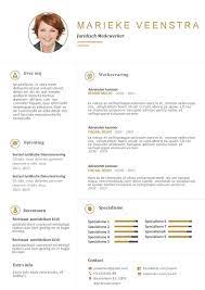 Een Elegant Cv Met Een Professioneel En Schone Uitstraling