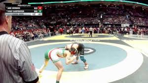 D3-138 lbs Cons. Semi