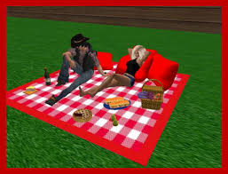 I checked walmart, target, tj maxx, ross, marshalls. Second Life Marketplace Picnic Blanket Red White Touch Food To Eat