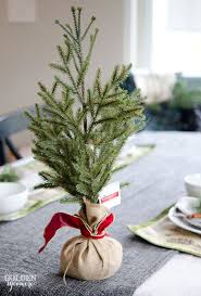 Miniature Evergreen Christmas Centerpiece 2 Jpg 525 774 Christmas Table Decorations Christmas Diy Christmas Table Centerpieces