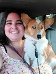 Corgi puppy advice and specific needs