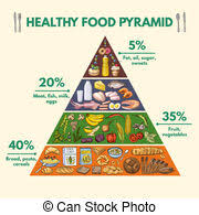 Ketogenic Diet Chart With Different Types Of Food Illustration