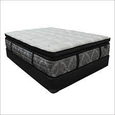Check spelling or type a new query. Taylor Wells 15 Oasis Super Pillow Top Mattress Bedding Mart
