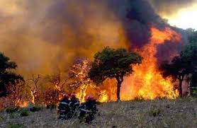 L'association nationale anpi a pour mission de prévenir et maîtriser les risques d'incendies et de vols, tous secteurs confondus. De L Algerie A La Tunisie Les Incendies Ravagent Des Milliers D Hectares Middle East Eye Edition Francaise