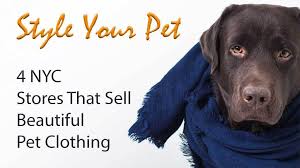 Pet store · east village · 4 tips and reviews. Upscale Pet Clothing Stores In New York City Long Island City Veterinary Center