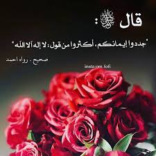 لا اله الا الله Islam Rose Islam Quran