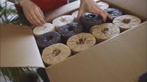 Bamboo grows really quickly we'll compare mostly online brands which we've reviewed the past (and recently done a big. Eco Friendly Bamboo Toilet Paper By Bumboo Review Best Tp I Ve Ever Tried Youtube