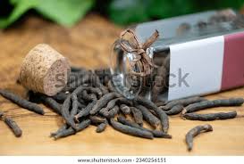 Image result for Xylopia aethiopica