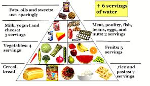 30 punctual daily diet chart for healthy body