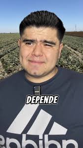 Cómo Identificar Al Ingeniero Agrónomo