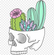How much does the shipping cost for stickers cactus? Skull Cactus Tumblr Sticker Karla Ctm Png Freetoedit Stickers Tumblr Png Cactus Png Image With Transparent Background Toppng