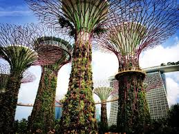 Tree Of Life Singapore Research Nexus Singapore Itinerary Singapore Stay In Singapore
