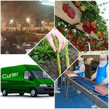 We did not find results for: Locuri De Munca In Germania Home Facebook