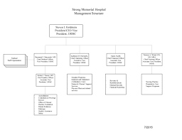 Organizational Chart Nursing At Strong Memorial Hospital