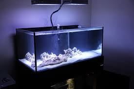 Tetra 55 gallon aquarium kit with fish tank, fish net, fish food, filter, heater and water conditioners 4.5 out of 5 stars 294 $297.57 $ 297. 100 Gallon Aquarium Dimensions 100 Gallon Aquarium Aquarium Aquarium Design