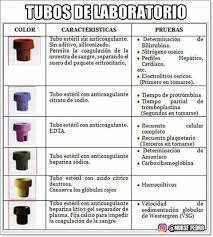 Pin By Angic Guerrero On Facultad Health Health Fitness Medicine