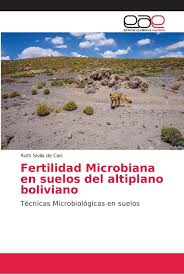(o quadro de punnett com os dois cruzamentos estão em anexo). Fertilidad Microbiana En Suelos Del Altiplano Boliviano Tecnicas Microbiologicas En Suelos Spanish Edition Sivila De Cari Ruth 9786202162821 Amazon Com Books