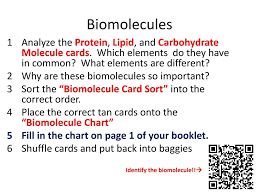 Biomolecules Analyze The Protein Lipid And Carbohydrate