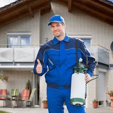 8 Reasons Why You Should Hire a Professional Pest Controller